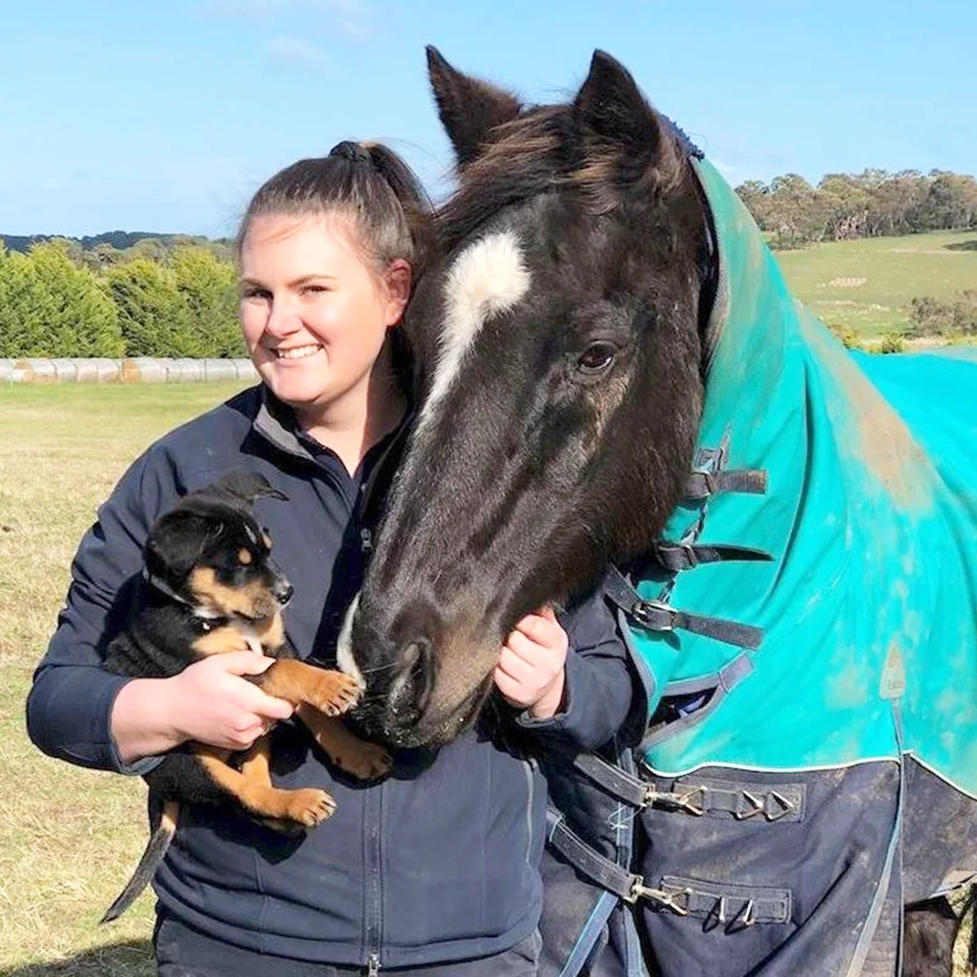 Woman smiling while holding a puppy next to a black horse wearing a teal rug in a grassy paddock