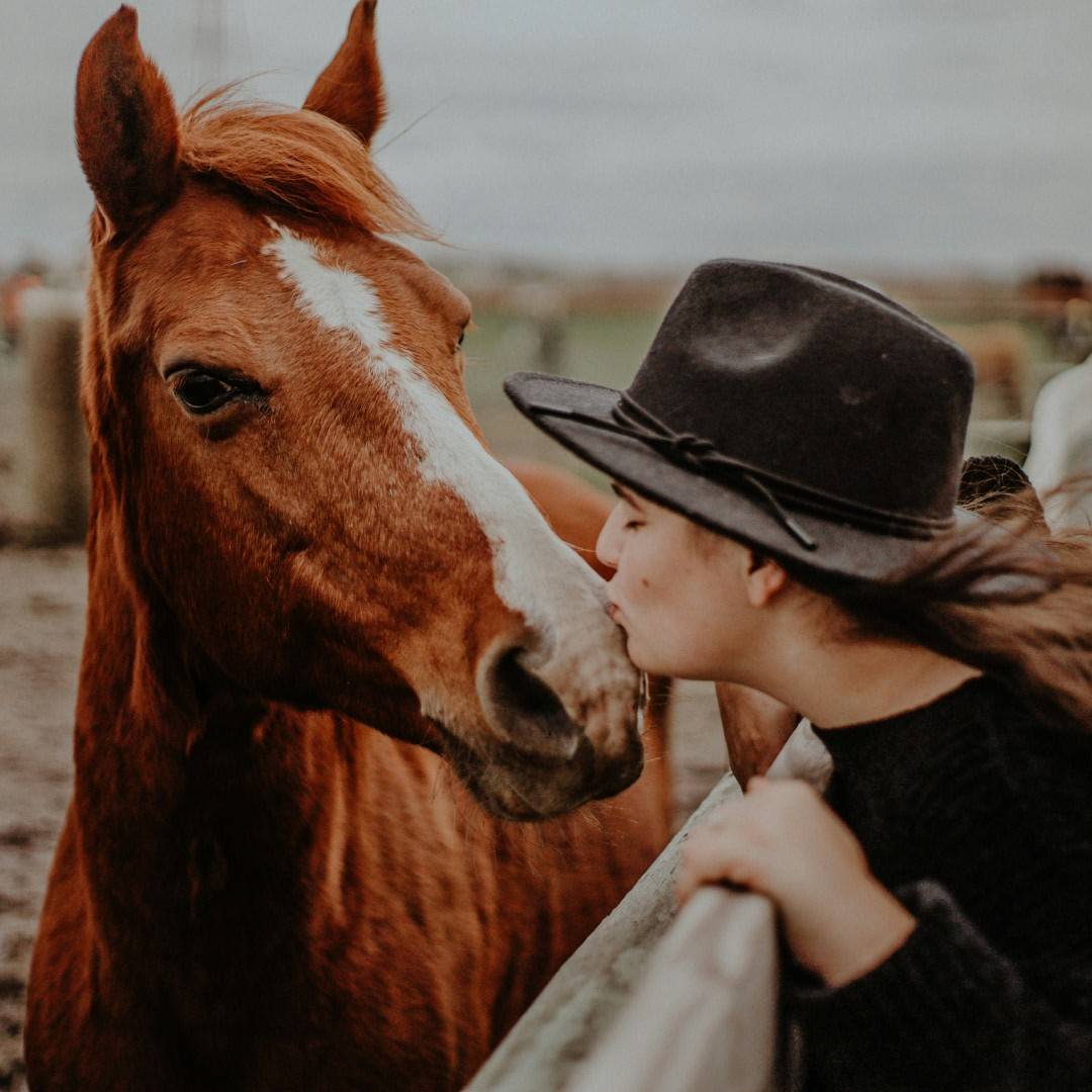 lady wearing hat kissing a horse