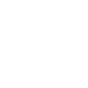 dog and cat icon